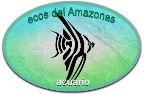 Acuario ecos del Amazonas